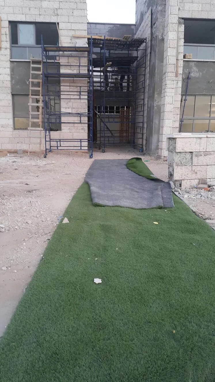 הכניסה למוסדות, "הילדים מתלוננים על סכנה יומיומית"