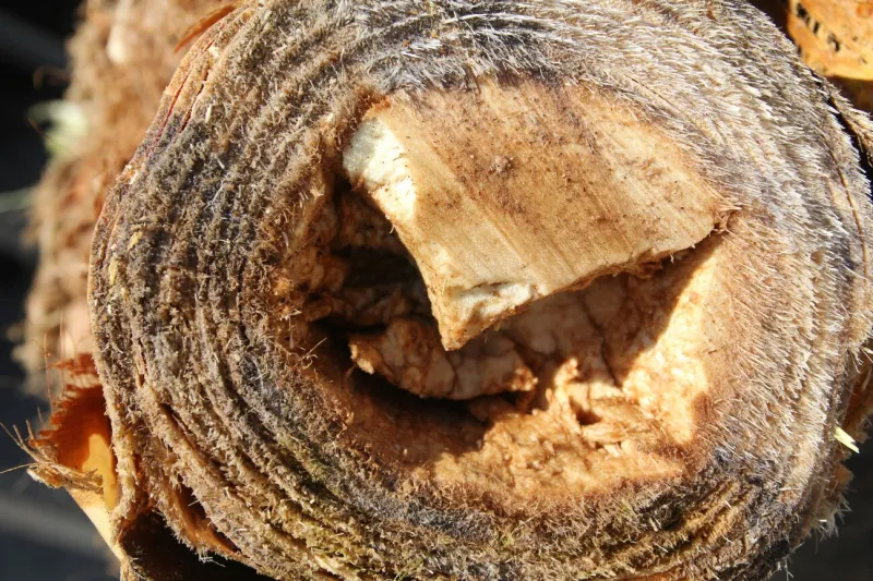 20151229032953 (2)