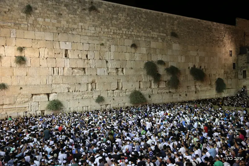 הכותל, סליחות צילום: יעקב כהן