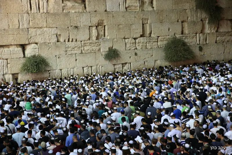 הכותל, סליחות צילום: יעקב כהן