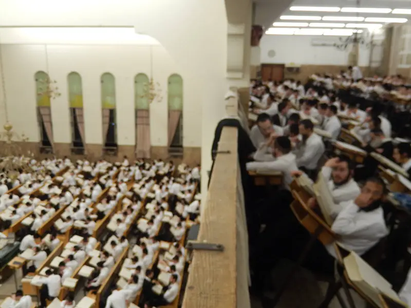פוניבז תורה פונוביז ישיבה