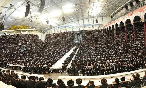 בעלזא