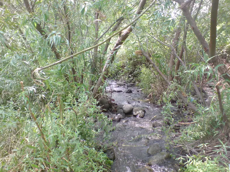 DSC00040