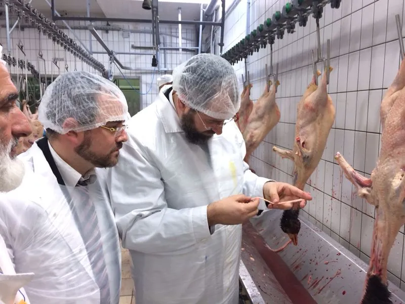 משחטה אווזים דוד לאו