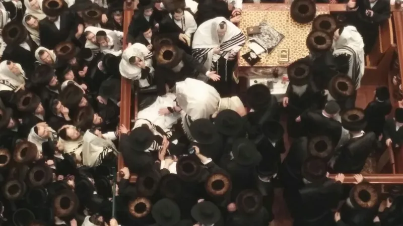 בעלזא
