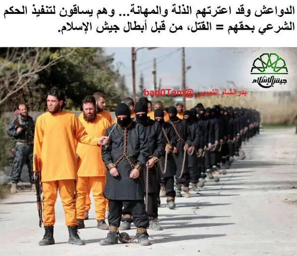 דאעש צבא האיסלאם