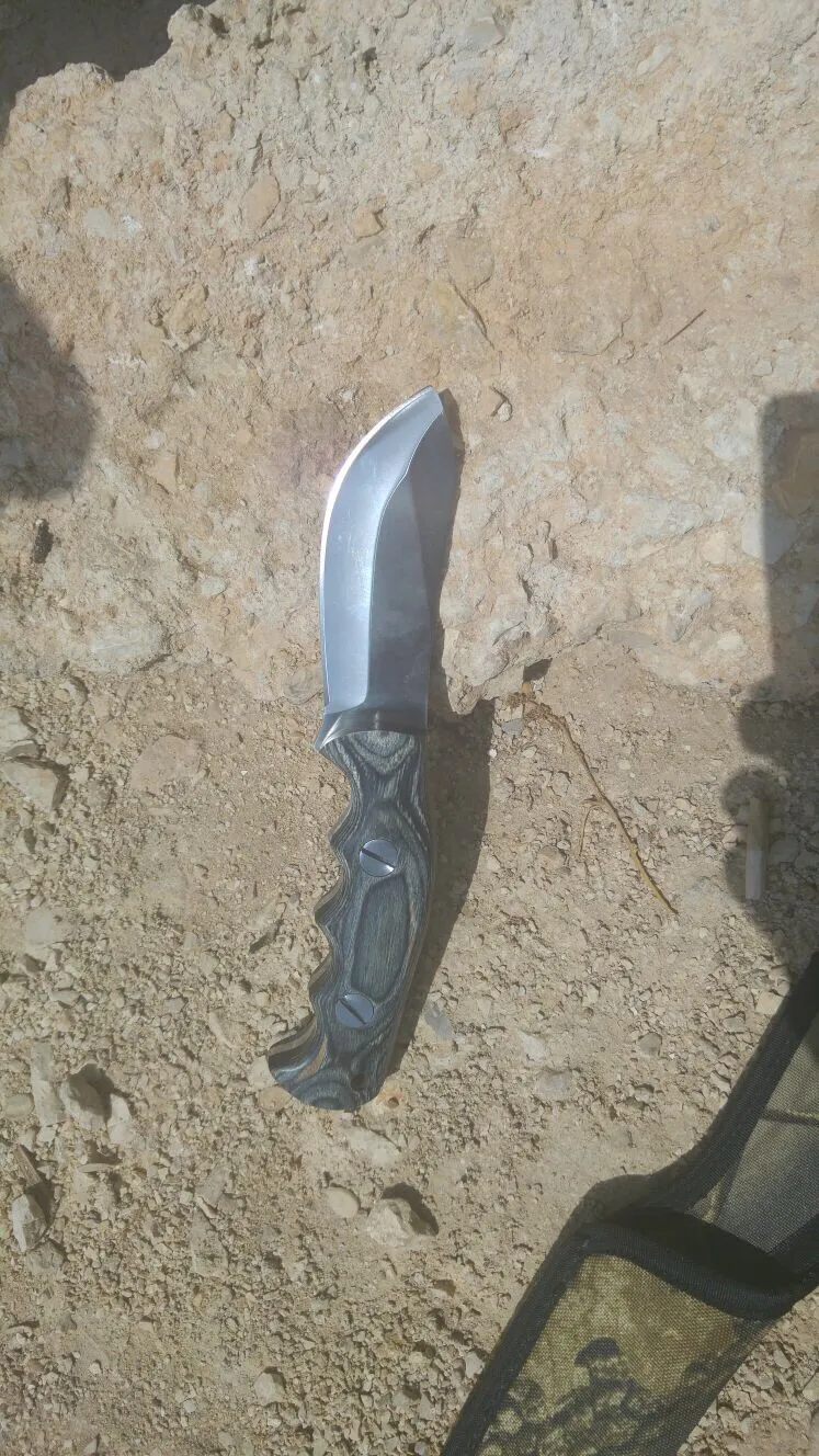 פגיון טרור פיגוע