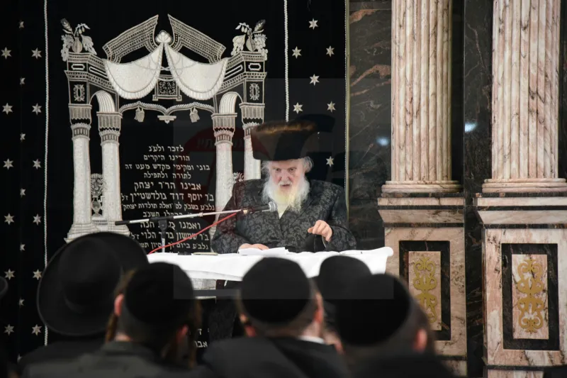 שטרנבוך צילום משה גולדשטיין