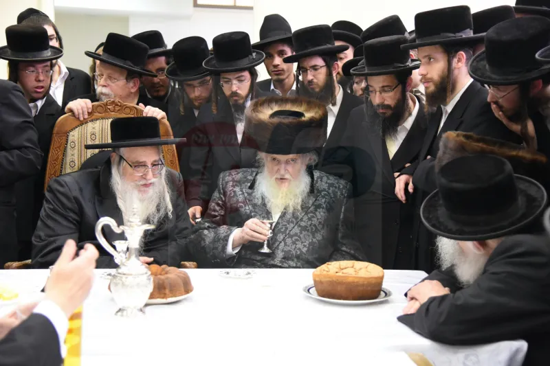 שטרנבוך צילום משה גולדשטיין צאנז