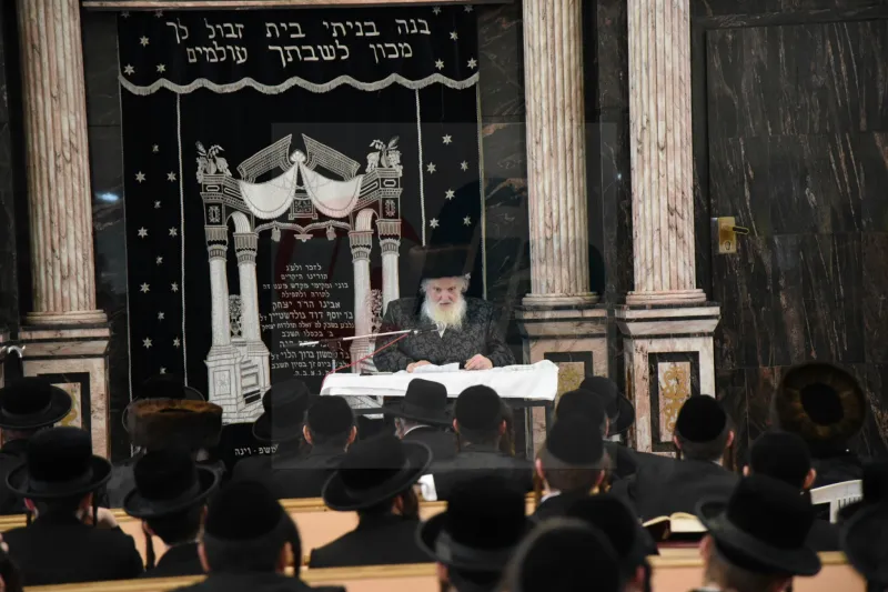שטרנבוך צילום משה גולדשטיין