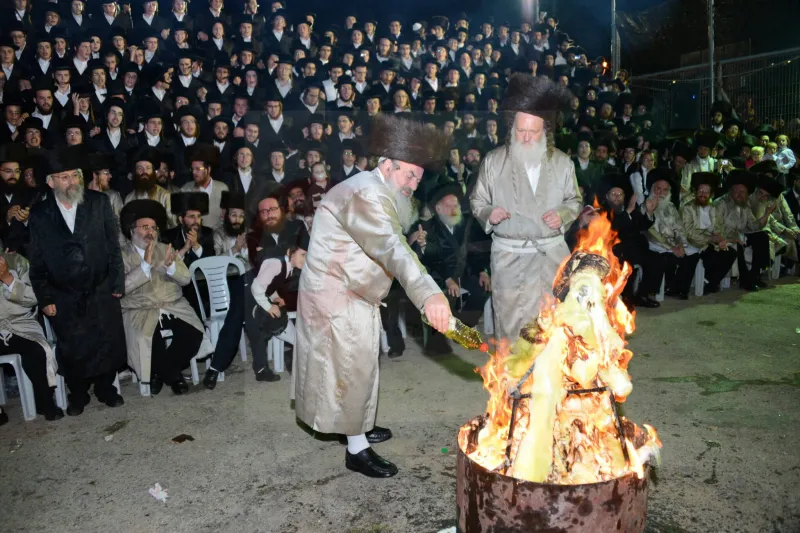 לעלוב