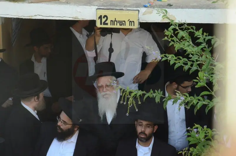 PicsArt_1439748979711