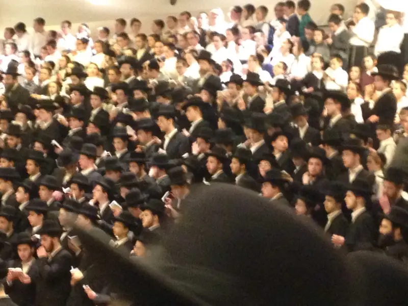 image_4