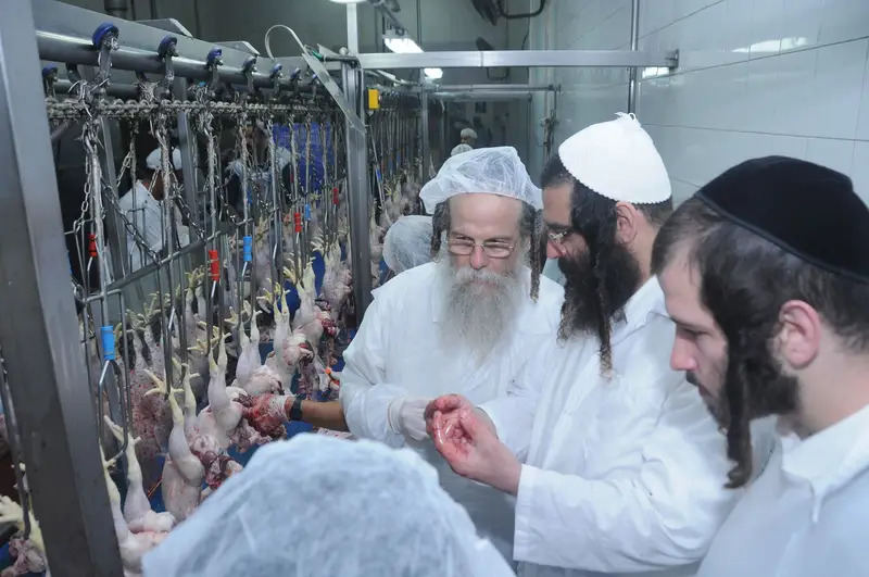 הגרמ ברנסדורפר בסיור במפעל עוף ירושלים דב לנדאו