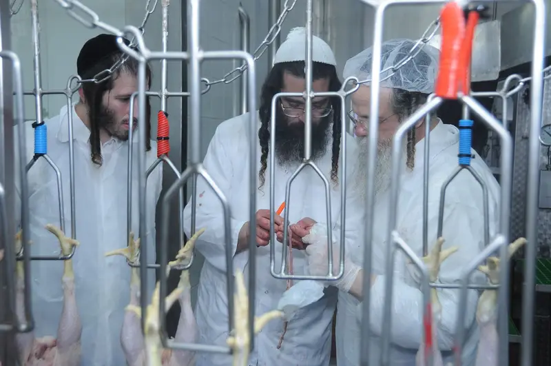 הגרמ ברנסדורפר בסיור במפעל עוף ירושלים דב לנדאו