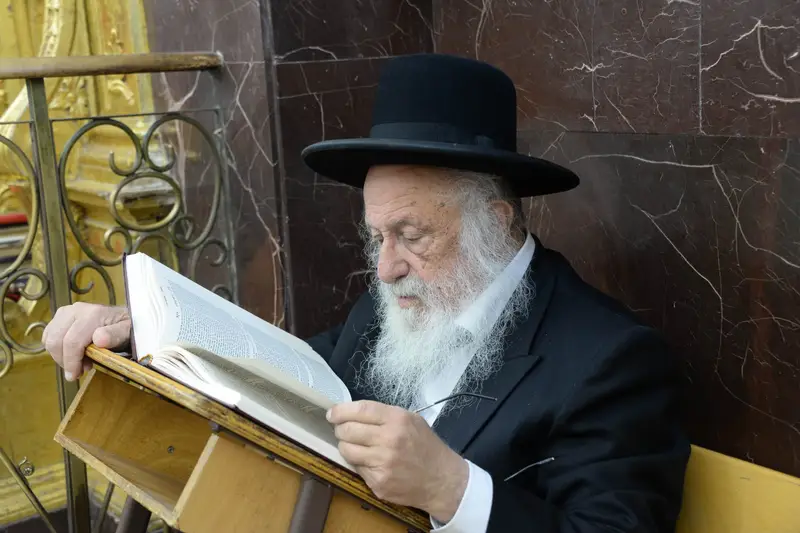שוקי לב פוברסקי פונוביז'