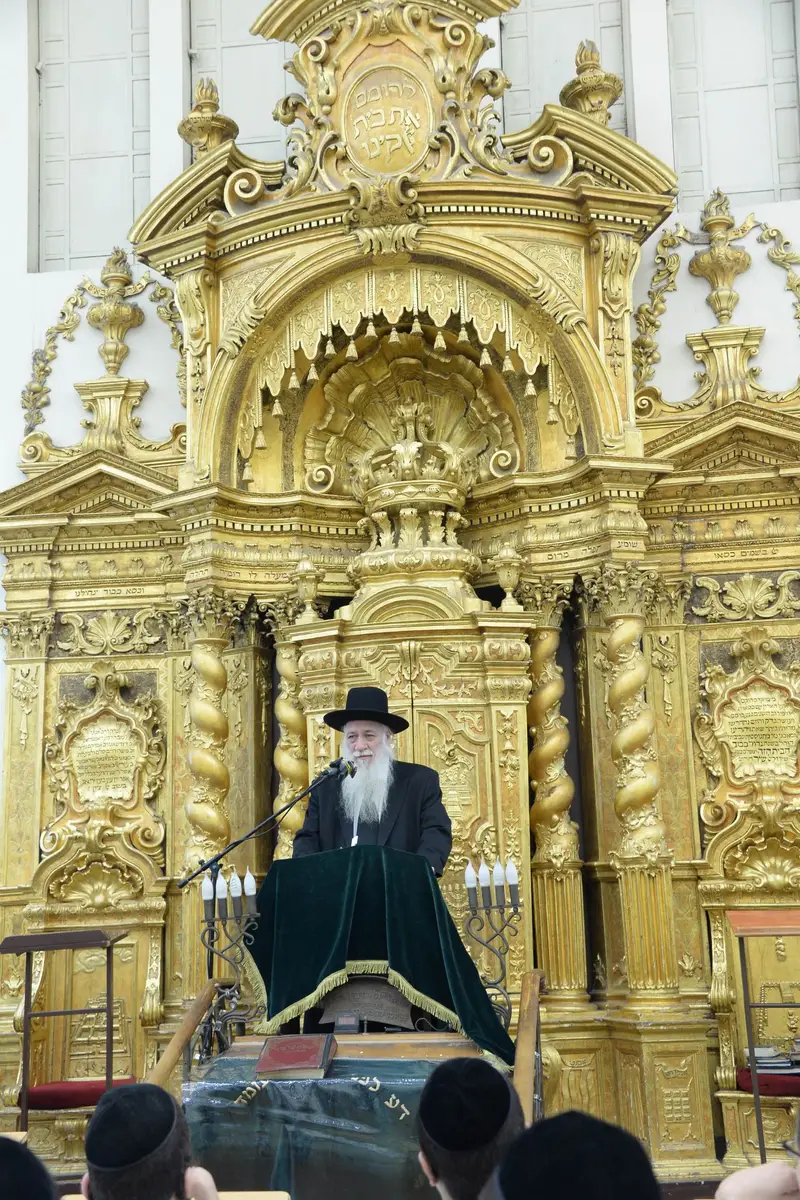 שוקי לב כהנמן פונוביז'
