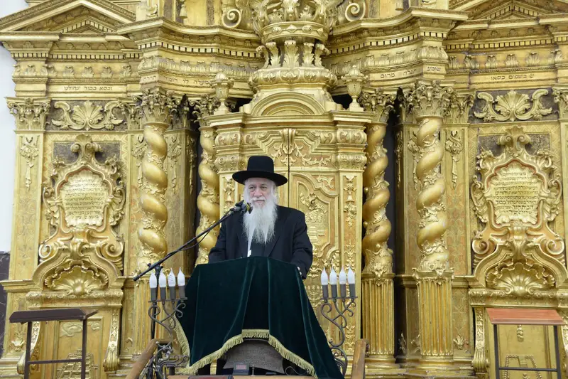 שוקי לב כהנמן פונוביז'