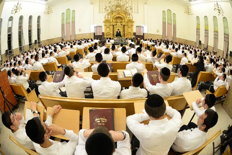 שוקי לב בחורים פונוביז'