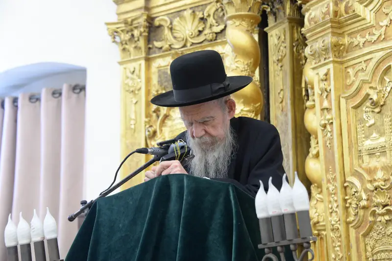 שוקי לב אדלשטיין פונוביז'