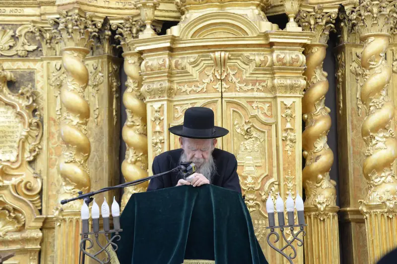 שוקי לב אדלשטיין פונוביז'