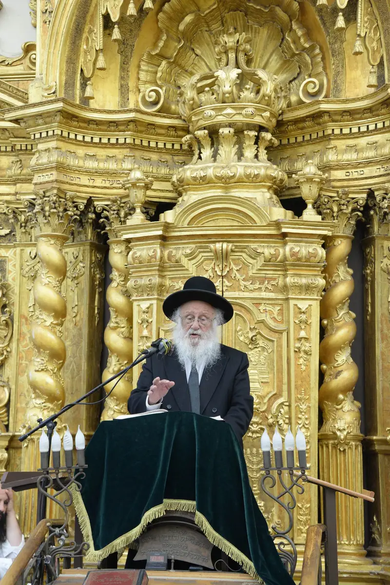 שוקי לב פוברסקי פונוביז'
