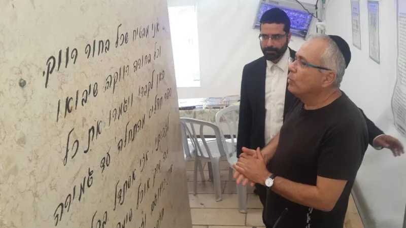 אמנון לוי
