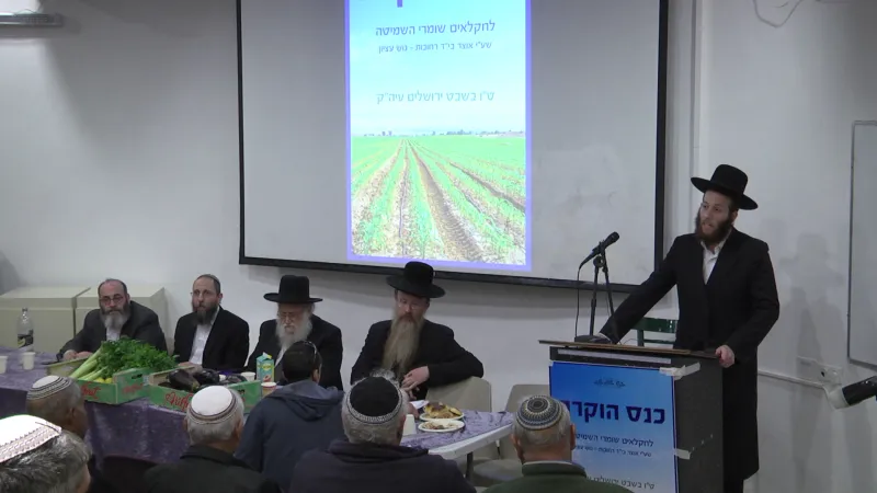מנדלזון קוק רימון שמיטה