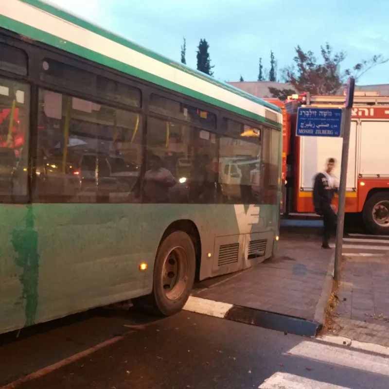 תמונה 2 (40)
