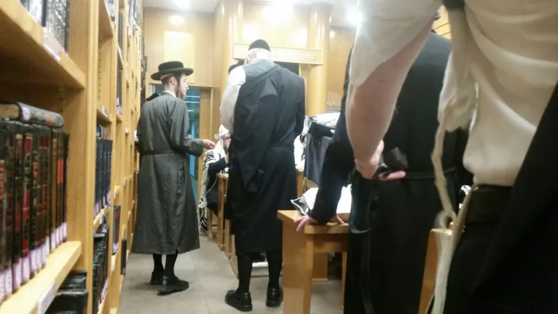 אייכלר