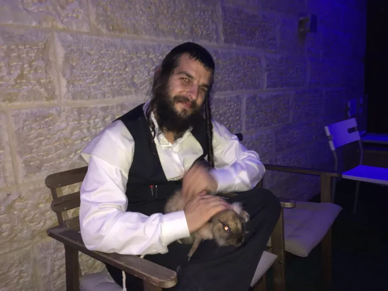 דוד קליגר