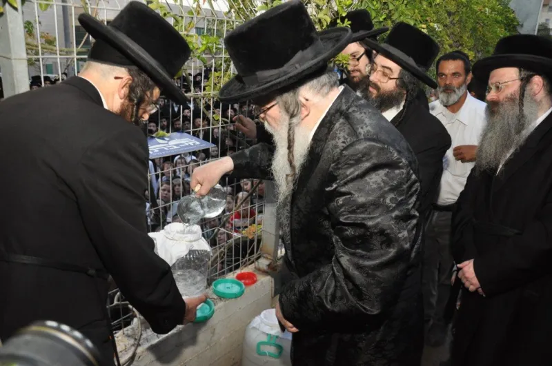 האדמו"ר מדארג בשאיבת מים שלנו. צילום יהודה פרקוביץ