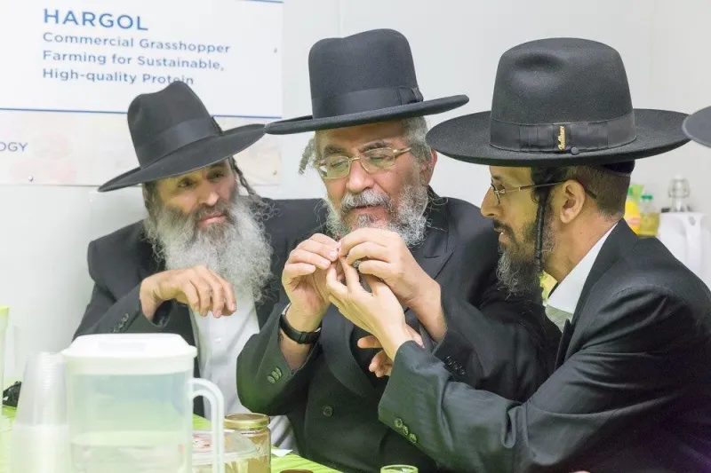 הרב רצאבי חוות חרגולים