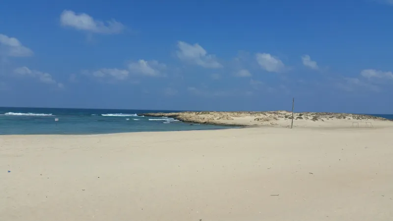 חוף דור