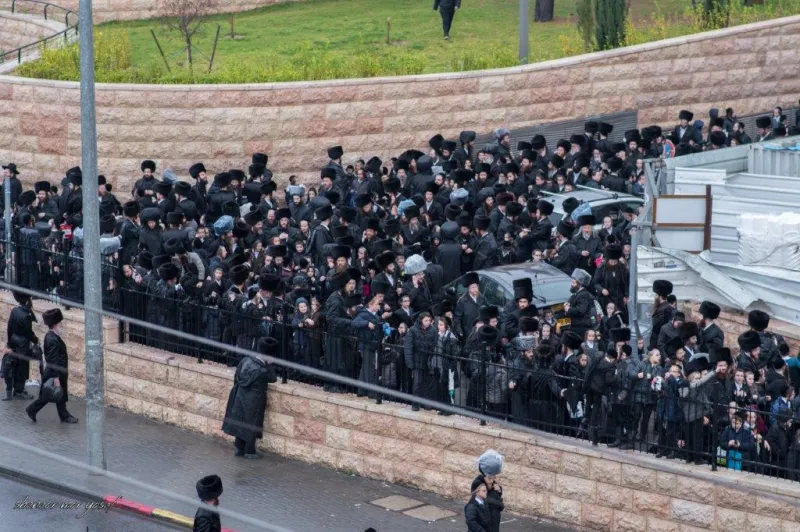 חתונה_גור_-_מענדי_קורנט_ושניאור_מור_יוסף__(2)