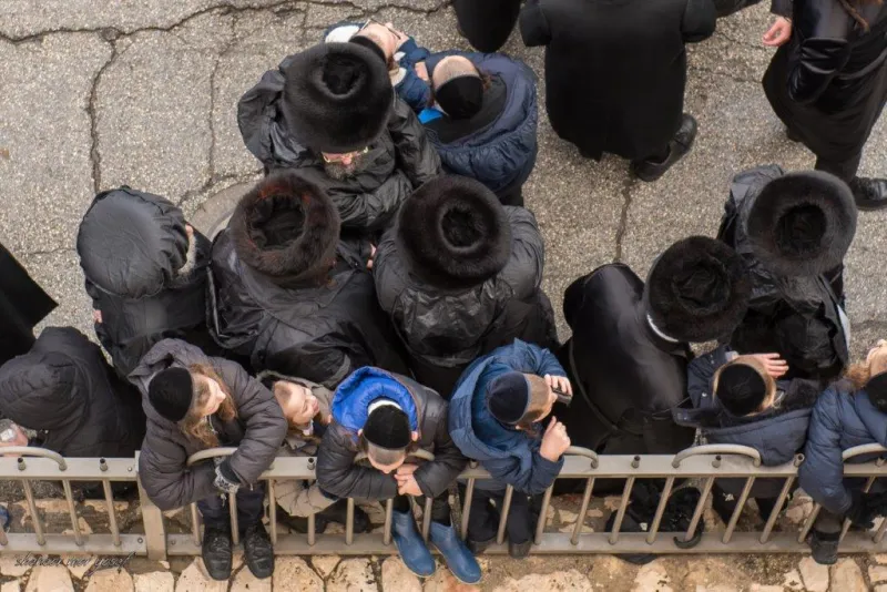חתונה_גור_-_מענדי_קורנט_ושניאור_מור_יוסף__(5)