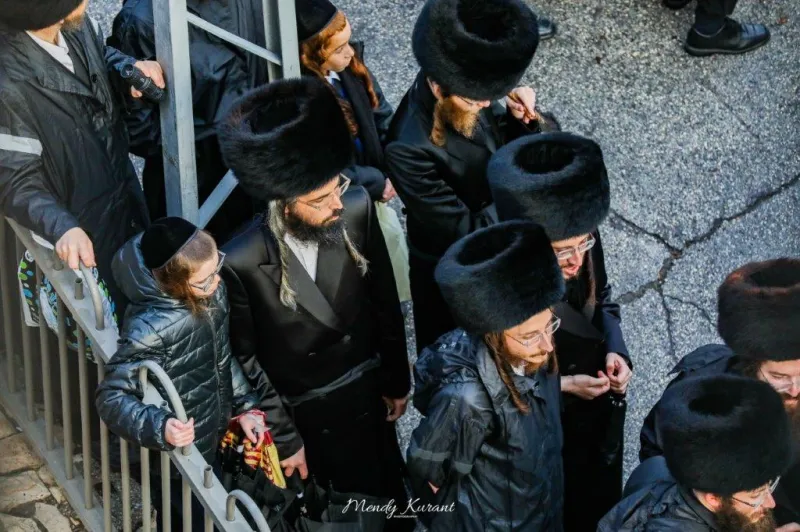 חתונה_גור_-_מענדי_קורנט_ושניאור_מור_יוסף__(51)