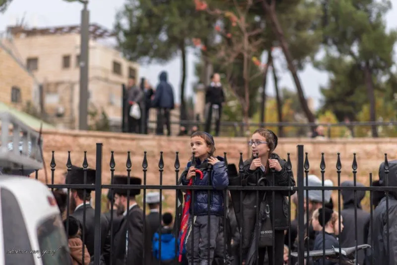חתונה_גור_-_מענדי_קורנט_ושניאור_מור_יוסף__(95)