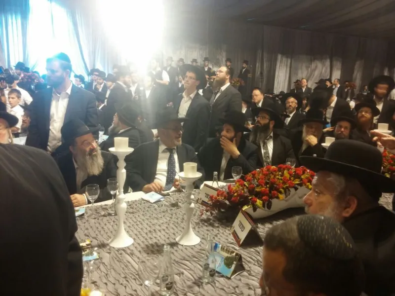 לייזר ושפירא