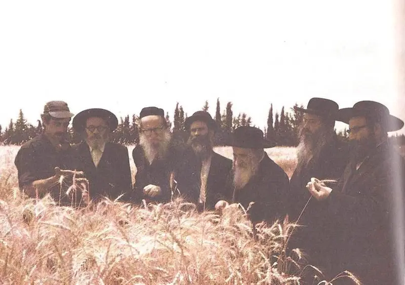 מוזיאון חרדי