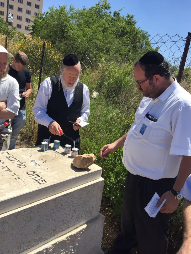 משי זהב ליזרוביץ