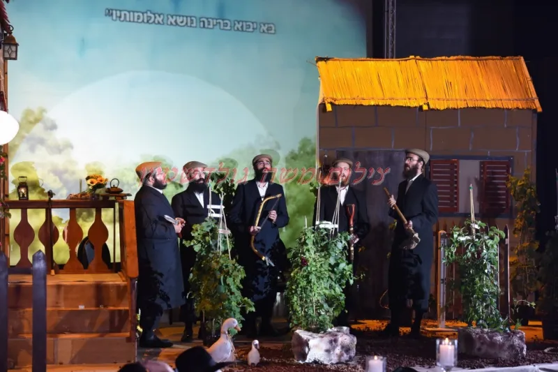 נרננה צאנז