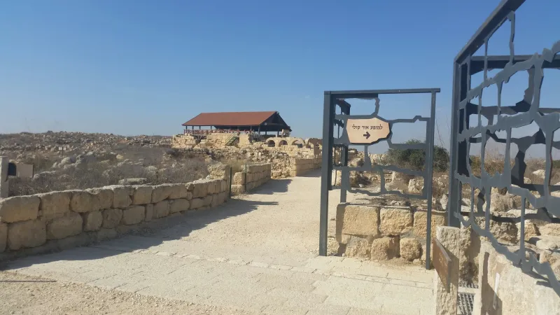 סוסיא כללי