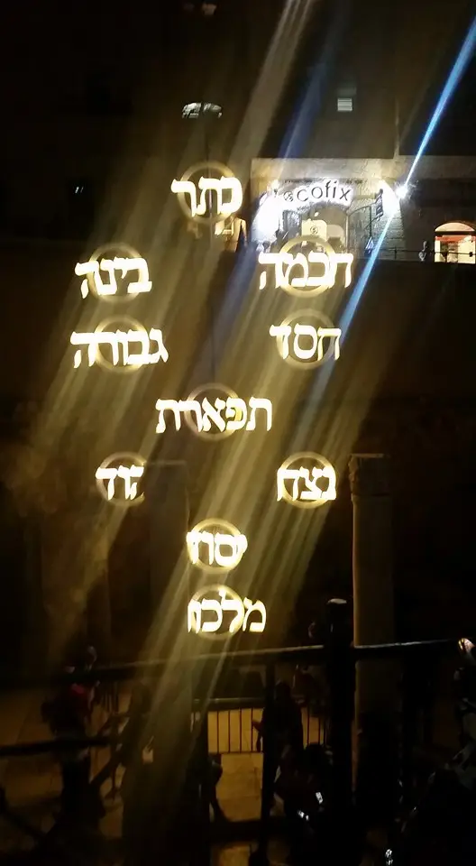 עץ החיים