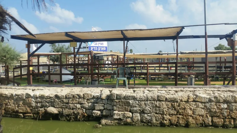פארק הדיג