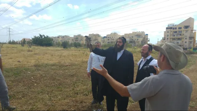 פרוש