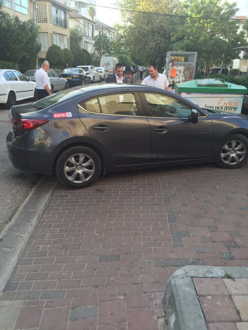 פריד אצל גרטלר