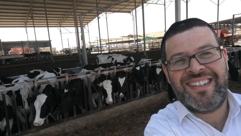 קובי גרינבוים