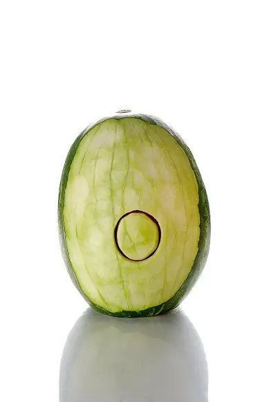 שלבים (3)