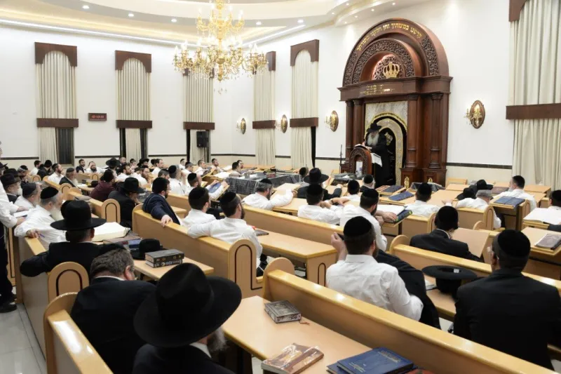 20 בעצרת חיזוק שע''י רשת הכוללים מגינ ארץ